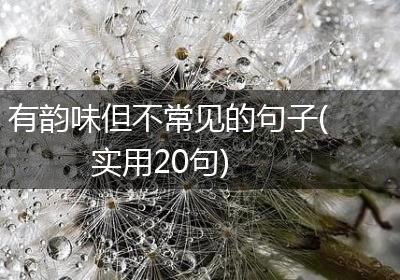 有韵味但不常见的句子(实用20句)
