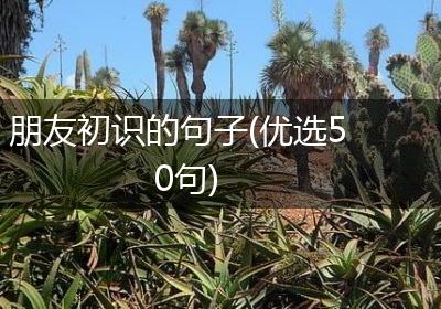 朋友初识的句子(优选50句)