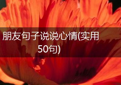 朋友句子说说心情(实用50句)