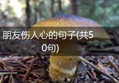 朋友伤人心的句子(共50句)