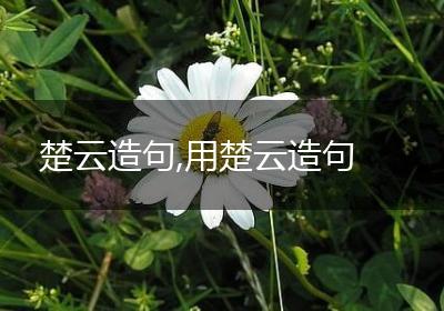 楚云造句,用楚云造句