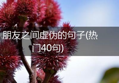 朋友之间虚伪的句子(热门40句)