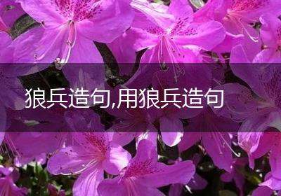 狼兵造句,用狼兵造句