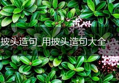 披头造句_用披头造句大全