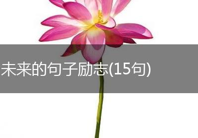 未来的句子励志(15句)
