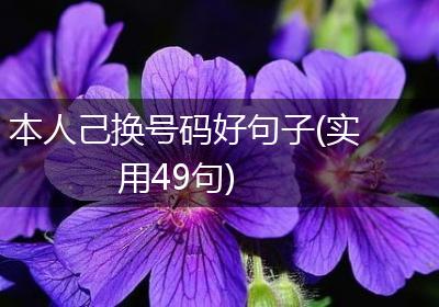 本人己换号码好句子(实用49句)