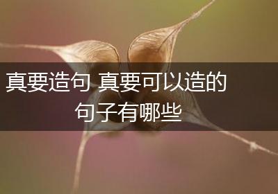 真要造句 真要可以造的句子有哪些