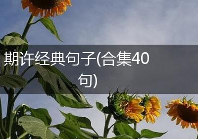 期许经典句子(合集40句)