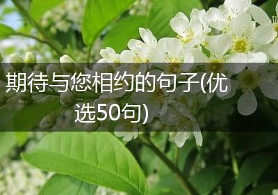 期待与您相约的句子(优选50句)