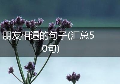 朋友相遇的句子(汇总50句)