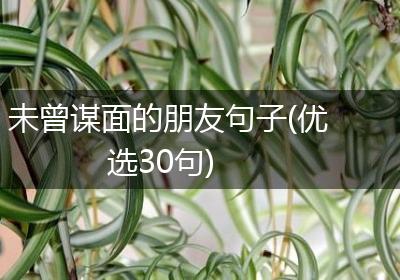 未曾谋面的朋友句子(优选30句)
