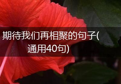 期待我们再相聚的句子(通用40句)