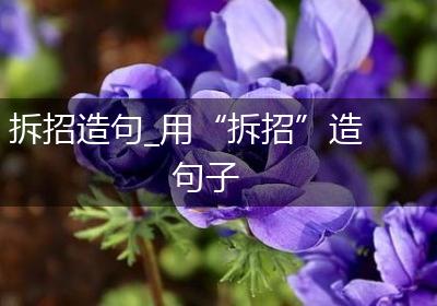 拆招造句_用“拆招”造句子