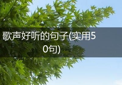 歌声好听的句子(实用50句)
