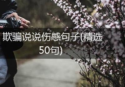 欺骗说说伤感句子(精选50句)