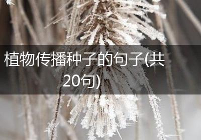 植物传播种子的句子(共20句)