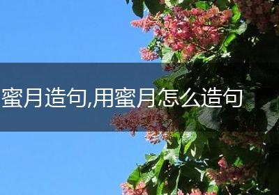 蜜月造句,用蜜月怎么造句