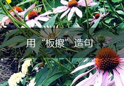 用“板擦”造句
