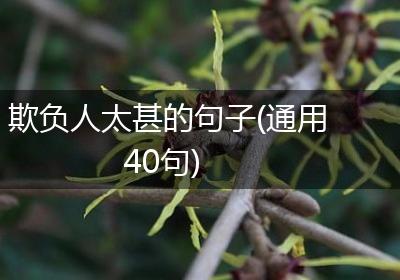 欺负人太甚的句子(通用40句)
