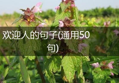 欢迎人的句子(通用50句)