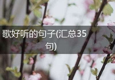 歌好听的句子(汇总35句)