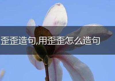 歪歪造句,用歪歪怎么造句