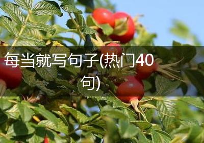 每当就写句子(热门40句)