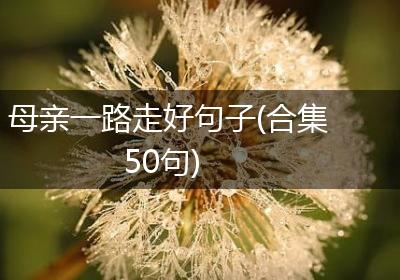 母亲一路走好句子(合集50句)