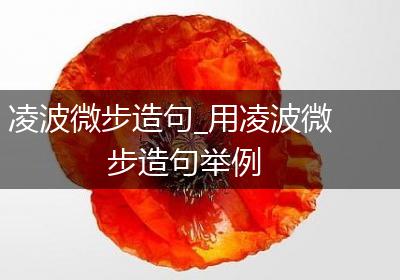 凌波微步造句_用凌波微步造句举例