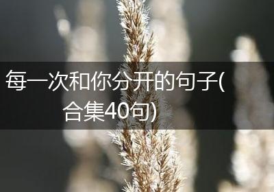 每一次和你分开的句子(合集40句)