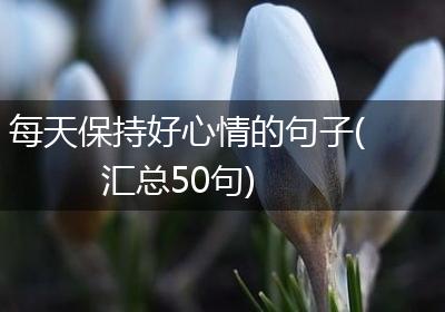 每天保持好心情的句子(汇总50句)