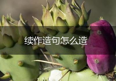 续作造句怎么造