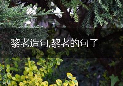 黎老造句,黎老的句子
