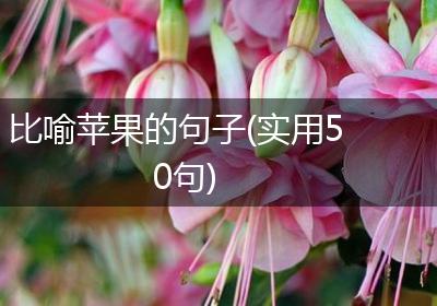 比喻苹果的句子(实用50句)