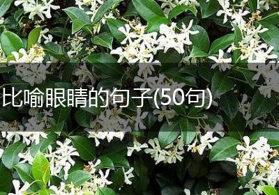 比喻眼睛的句子(50句)
