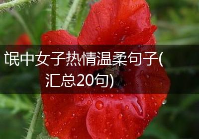 氓中女子热情温柔句子(汇总20句)
