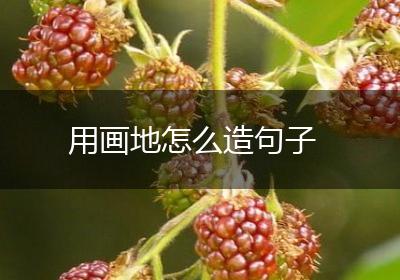 用画地怎么造句子