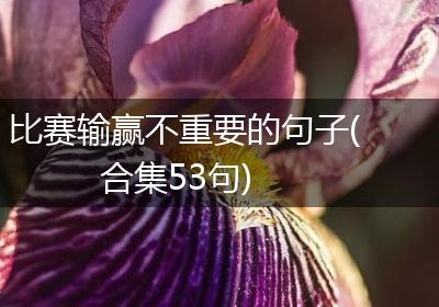 比赛输赢不重要的句子(合集53句)