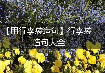 【用行李袋造句】行李袋造句大全