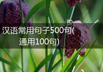 汉语常用句子500句(通用100句)