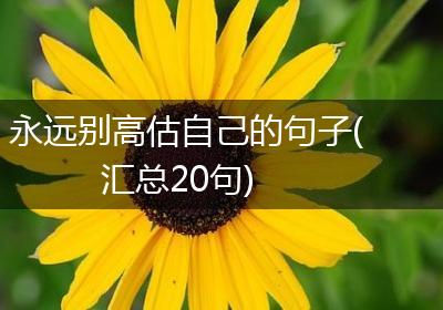 永远别高估自己的句子(汇总20句)