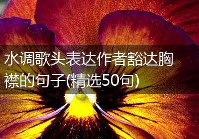 水调歌头表达作者豁达胸襟的句子(精选50句)