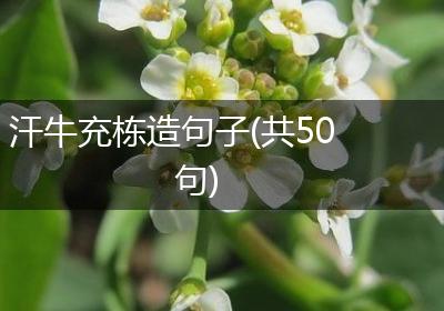 汗牛充栋造句子(共50句)
