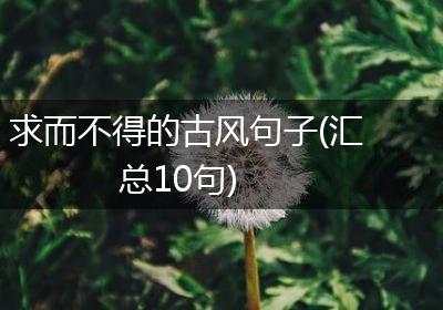 求而不得的古风句子(汇总10句)