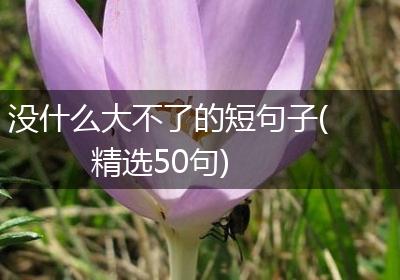 没什么大不了的短句子(精选50句)