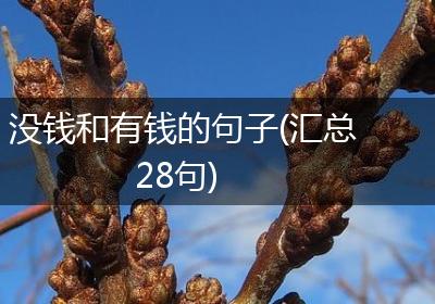 没钱和有钱的句子(汇总28句)