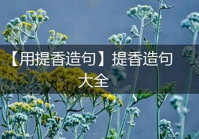 【用提香造句】提香造句大全