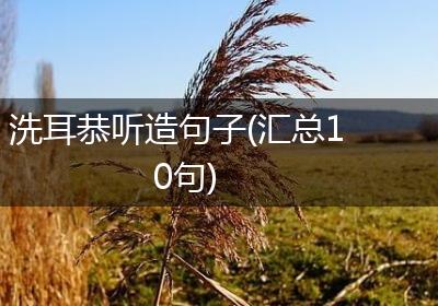 洗耳恭听造句子(汇总10句)