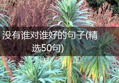 没有谁对谁好的句子(精选50句)
