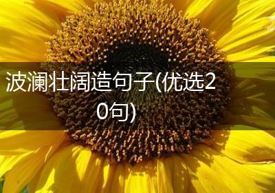 波澜壮阔造句子(优选20句)